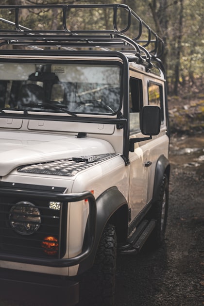 Eco-Friendly Car Rental Options